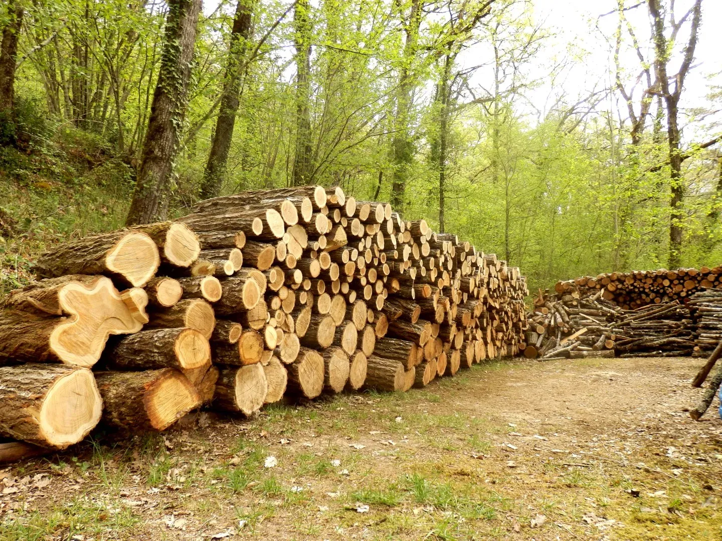 bois-chauffage (1)